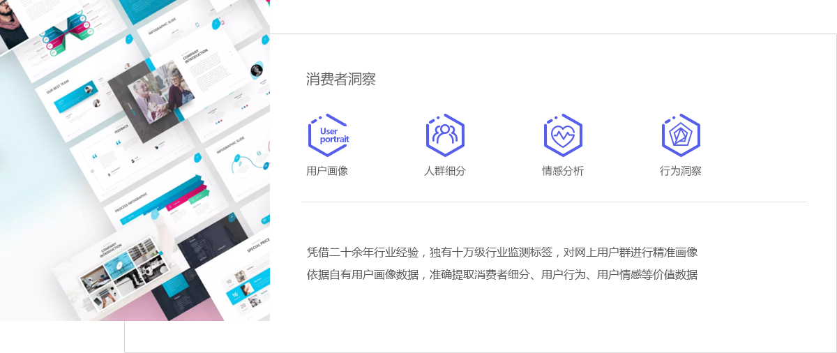 凭借二十余年行业经验，独有十万级行业监测标签，对网上用户群进行精准画像依据自有用户画像数据，准确提取消费者细分、用户行为、用户情感等价值数据