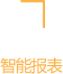 闪电车情智能报表